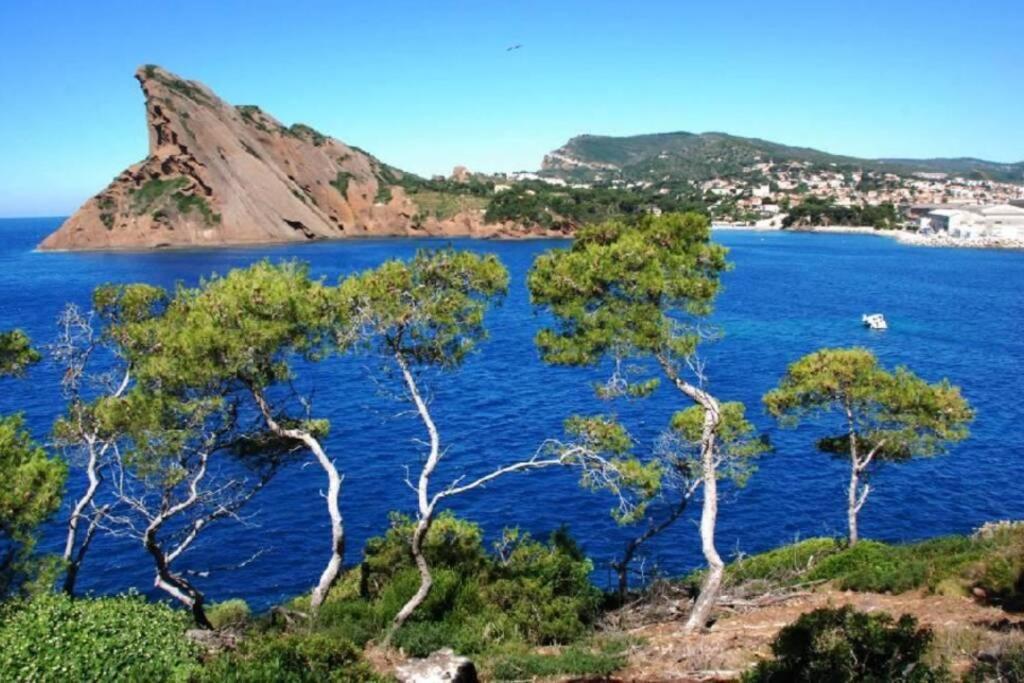 L'Oree De La Plage: Appt. Tout Confort 4/6 Pers. 400 M De La Plage La Ciotat Dış mekan fotoğraf